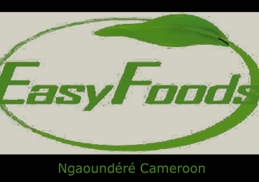 EASY FOODS NGAOUNDERE